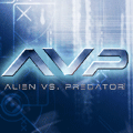 AVP Media